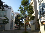 P1040300.JPG