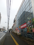 P1050884.JPG