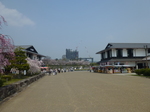 P1060833.JPG