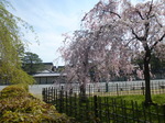 P1060900.JPG