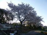 P1120915.JPG