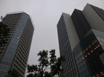 P1130080.JPG