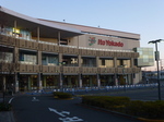 P1170236.JPG