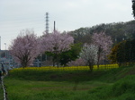 P1180448.JPG