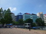P1200741.JPG