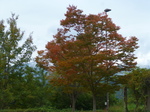 P1210750.JPG