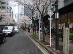 P1240011.JPG
