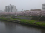 P1240074.JPG